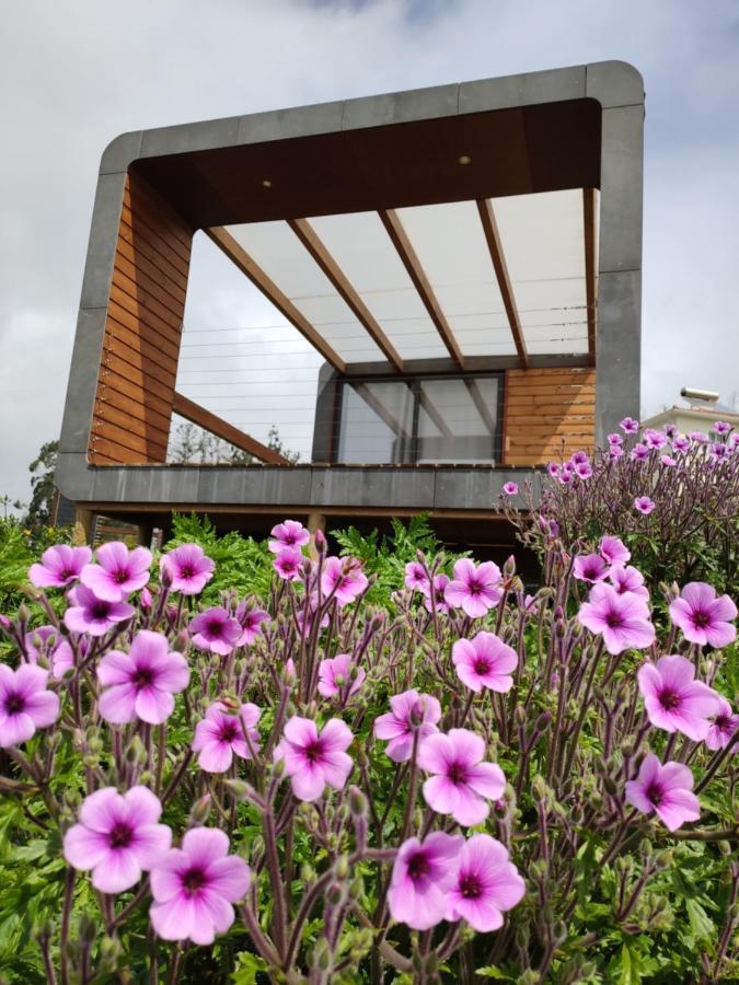 Calheta Glamping Pods - Nature Retreat 외부 사진